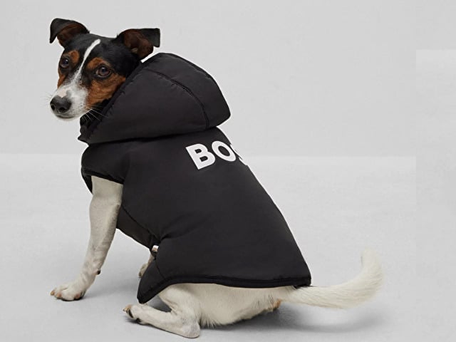 HUGO BOSS　犬服　グッズ　大谷翔平　犬　ポロシャツ