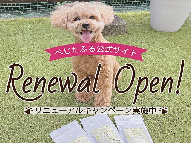 わんちゃんの青汁パウダー　口コミ　評判　原材料　効果