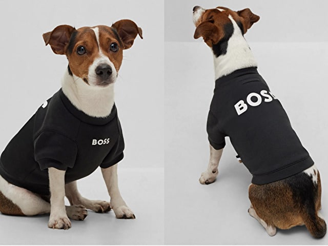 HUGO BOSS　犬服　グッズ　大谷翔平　犬　ポロシャツ