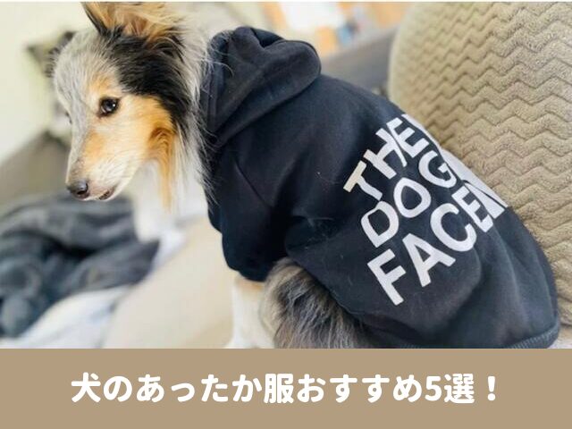 犬　あったか　服　2023　冬　おすすめ　着せやすい　毛玉