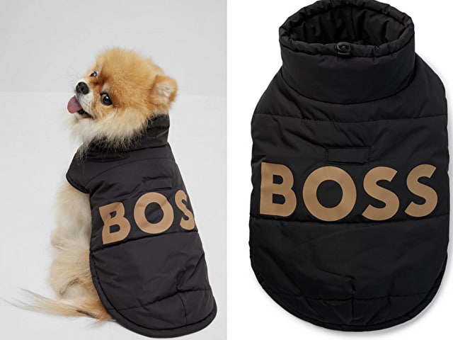 HUGO BOSS　犬服　グッズ　大谷翔平　犬　ポロシャツ