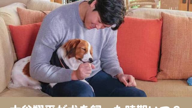 大谷翔平　犬　飼った時期　犬種　プロフィール　価格