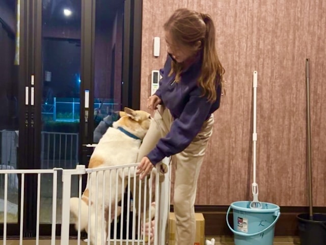 坂上どうぶつ王国　さかがみ家　ギン太郎　保護犬　桑原みずき　性格　生い立ち