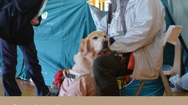 犬　防災　グッズ　リスト　おすすめ　非常食　備蓄　必要なもの