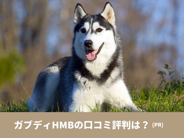 ガブディHMB　犬サプリ　口コミ　評判　効果　原材料