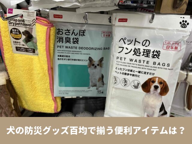 犬　防災グッズ　百均　便利　避難所　体験