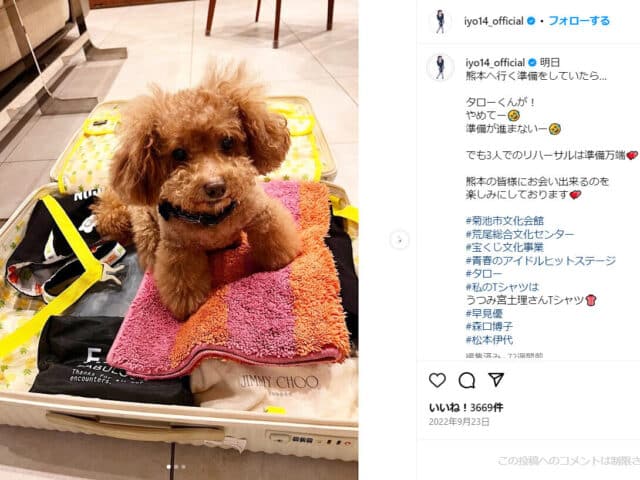 ヒロミ　犬　トイプードル　何匹　名前　プロフィール　性格