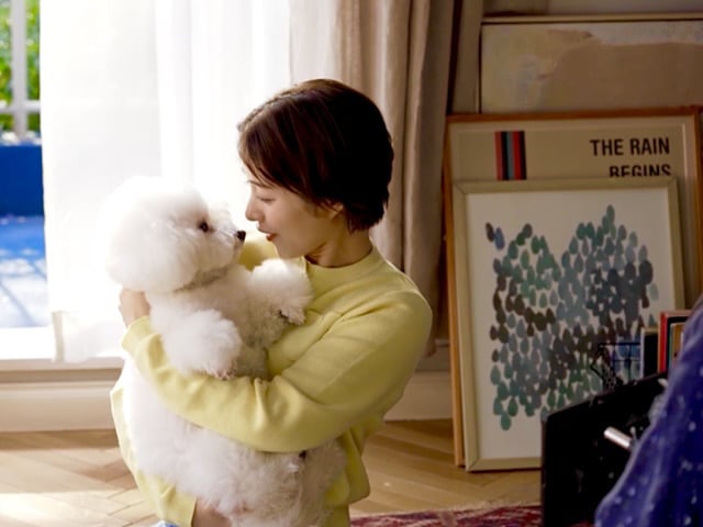 ドコモ　CM　石原さとみ　犬　飼い犬　名前　プロフィール　出演作品