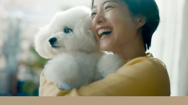 ドコモ　CM　石原さとみ　犬　飼い犬　名前　プロフィール　出演作品