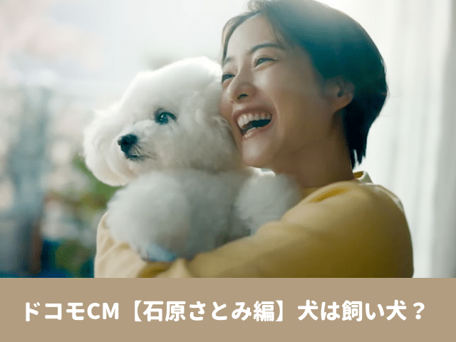 ドコモ　CM　石原さとみ　犬　飼い犬　名前　プロフィール　出演作品