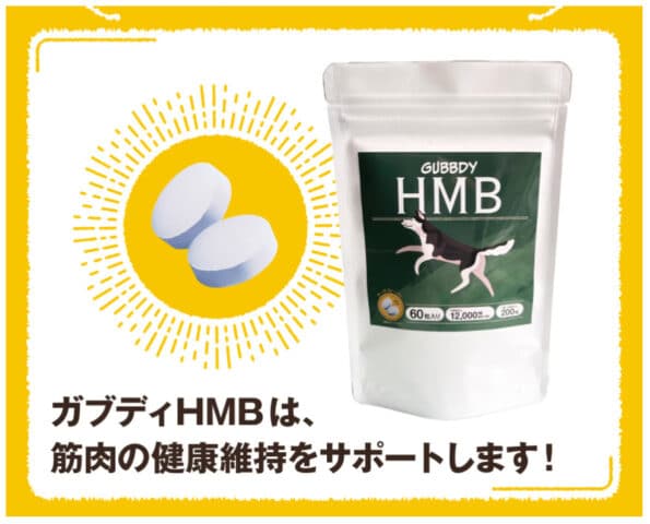 ガブディHMB　犬サプリ　口コミ　評判　効果　原材料