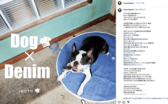 イヌト　INUTO　口コミ　評判　犬とお揃い　デニム　ドッググッズ　おすすめ