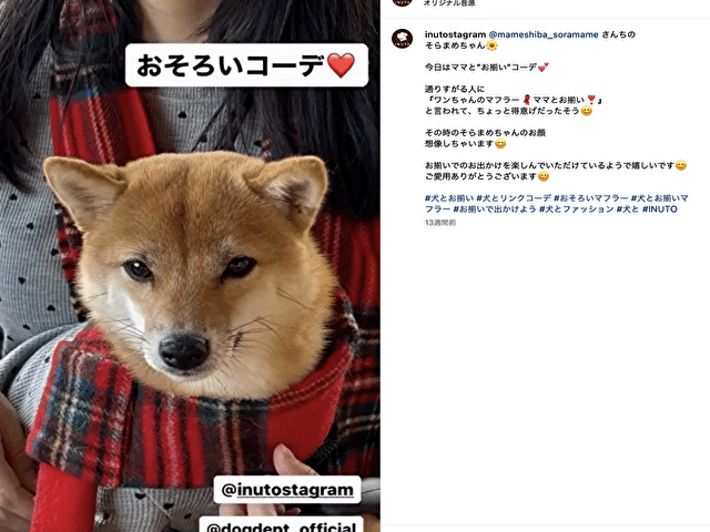 イヌト　INUTO　口コミ　評判　犬とお揃い　デニム　ドッググッズ　おすすめ