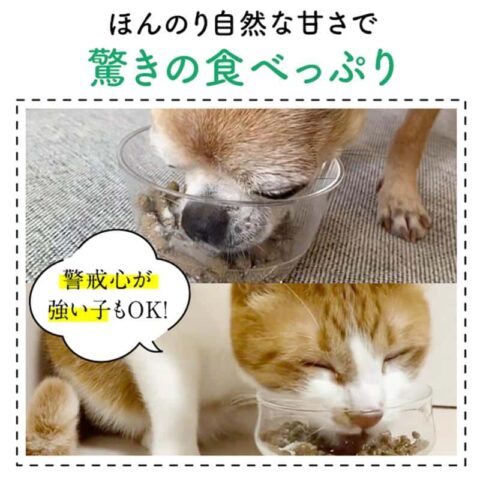 犬猫生活　デンタルふりかけ　口コミ　評判　口腔ケアサプリ　安全性　歯石　効果