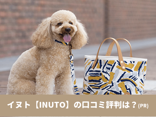 イヌト　INUTO　口コミ　評判　犬とお揃い　デニム　ドッググッズ　おすすめ